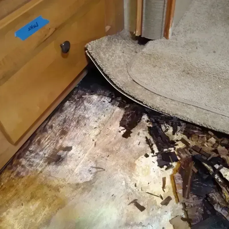 Wood Floor Water Damage in Urbana, MD